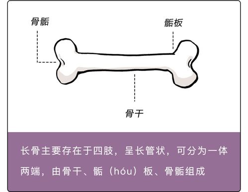 怎么能长高?