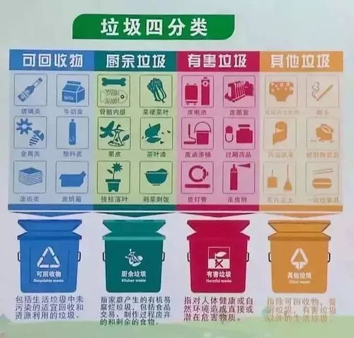关于垃圾分类,你真的知道吗