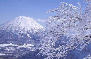 日本北海道雪景图片 信息阅读欣赏 信息村 K0w0m Com