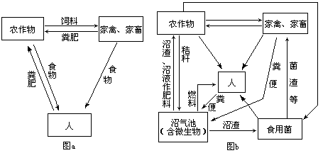 图中是两个农业生态系统的结构模式图.图a是农作物为人类提供的食物量.为家禽和家畜提供的饲料量都与图b相同. 1 请根据图中图a.图b所示生态系统的结构.在图中用箭头完成这两个生态系统能量流动和利用的图解 