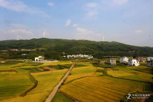 透过列车窗看风景 窗外民居