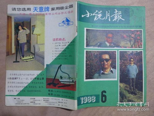 文学小说 期刊 