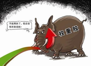 12月26日低开到逆袭,绝地反击金针探底明日大阳