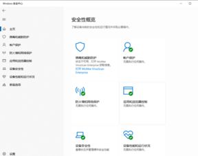 怎么阻止win10自动删东西