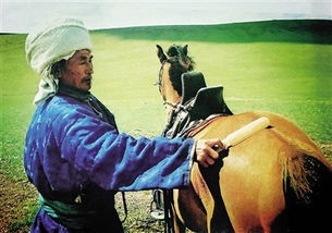 藏地谚语看到骑马的人