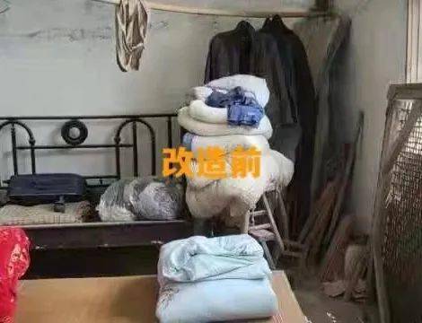 爱心小屋装修工程简介范文—小猫的小屋怎么做简单？