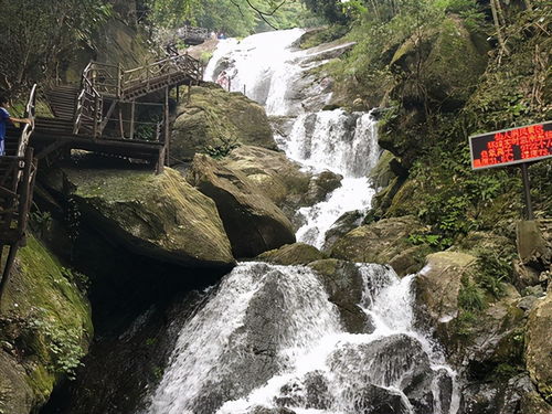 高州凤凰园景区停车场收费标准,茂名高州旅游景点哪里好玩