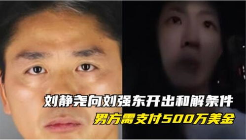 刘静尧要钱的铁证曝光 女方明确表示 要想办法强迫刘强东私了