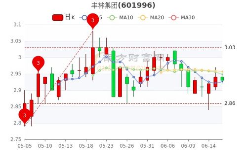 请高手帮我看看丰林集团601996这只股票，今天是洗盘还是出货？