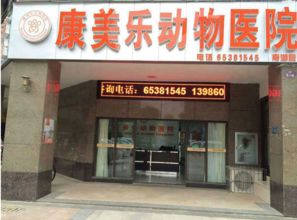 武汉南湖动物医院,专业为解除您爱宠的病痛找康美乐动物医院