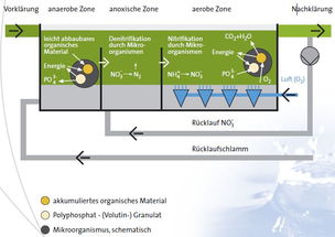 生物除磷的原理和工艺