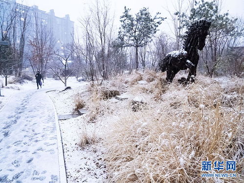 雪落京城