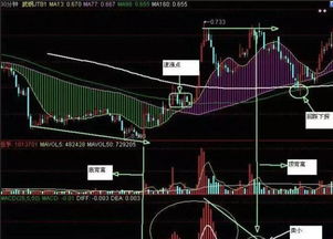 作为新股民，弱弱的问一句 这次大跌的MACD背离是如何看出来的? 附图为大盘30分钟线，请高手指点