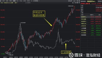 上海证券交易所包括哪些板块