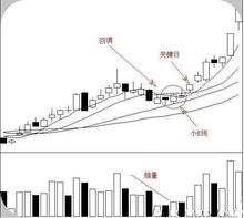 怎么看五日均线图，十日呢？以此类推