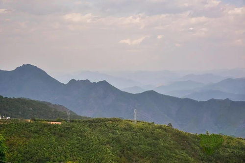 冰岛 昔归 大雪山和忙肺,临沧的四大名茶为什么是它们