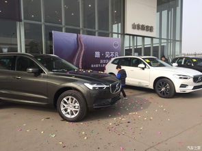 幸运的全新XC60车主购车提车作业