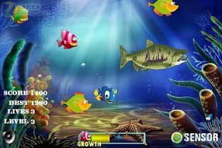 安卓版大鱼吃小鱼 14.0下载 ZOL手机游戏 