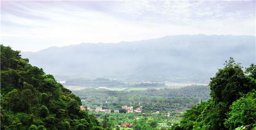 野生动物如何避暑,来到佛山南丹山走一圈就知道