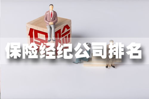 什么是经济公司