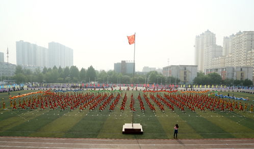 衡水市桃城区举办中小学生 阳光与梦想 大型艺术团体操 图 