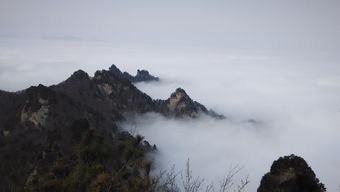 武当山遭遇记