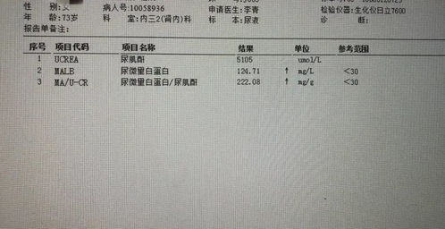 一文掌握：查重时应检查哪些部分？