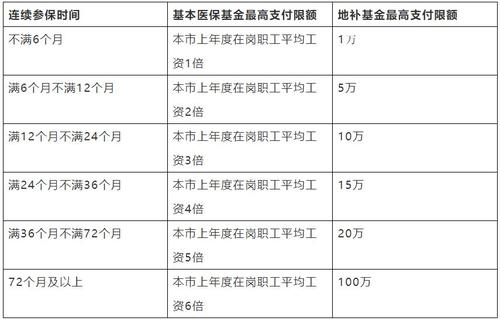 社保重大疾病报多少