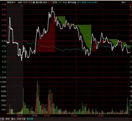 15号的股票集合进价我16号怎么看到