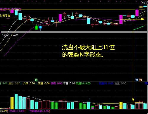 股神巴菲特告诉你 炒股真的需要靠运气吗 值得中国所有股民看三遍