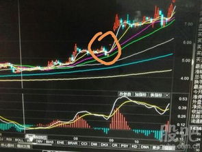 股票配股后成本价格怎么计算 比如配股前27，1元10配2，5股 配股价7。33元 那么配股后成本价是多少 谢谢