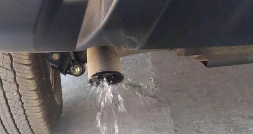 汽车排气管滴水是汽油加了水吗 还是发动机出问题了