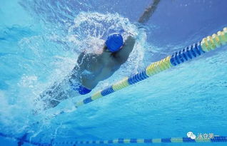 游泳,关键在于增加动力和减少阻力
