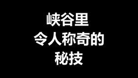 第一次失败了，没有冻宝，什么时候重新开始最好？