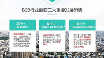 能通俗的讲讲马云B2B私有化是什么意思啊？详细点！谢谢