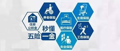 普通的公司五险一金