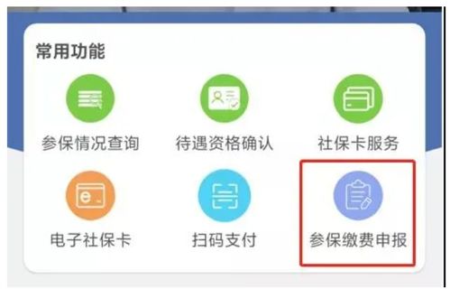 灵活就业养老保险含医保吗,灵活就业人员社保包括医保吗