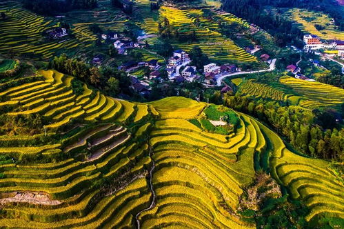 紫鹊界梯田旅游业(娄底紫鹊界梯田简介)