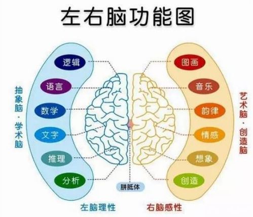 决定小学生成绩的3种能力,在学校是学不到的,父母怎么教很关键