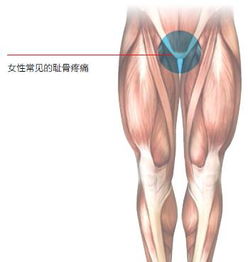 趾骨痛是哪个位置图片 搜狗图片搜索