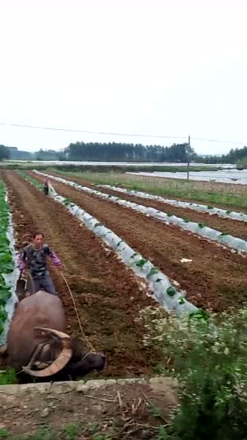 田太实了给田翻土 