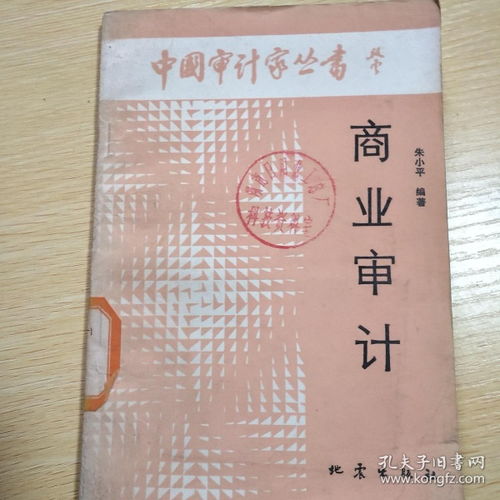 北京什么样企业需要审计