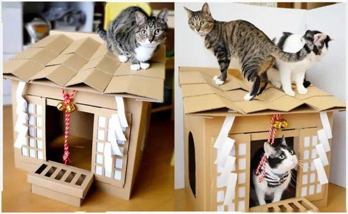 买座猫咪神社回家拜 日本话题募资商品连家中主子都表示很满意