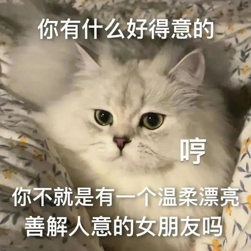 超甜的猫猫表情包 报告 今天也超想你的