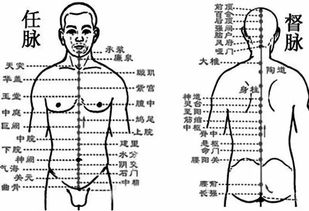 任督二脉指什么