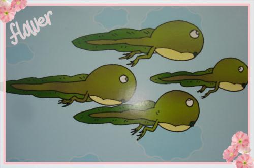 小蝌蚪是怎样变成青蛙的 