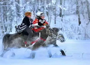 谢谢你喀纳斯,让我们见到了最美的雪 