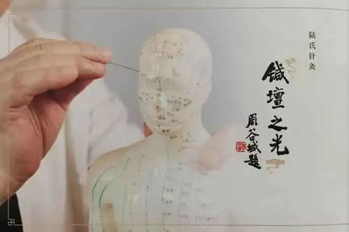 普陀人,家门口就能看名老中医,这些常见病都能治