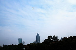 <a href='http://sz.ptotour.com/domestic/hubei/wuhan/'  target='_blank'>武汉</a>中山公园国庆节日拾景