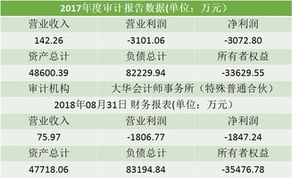 投资老年公寓,面临哪些机会和成功? 请简要回答一下